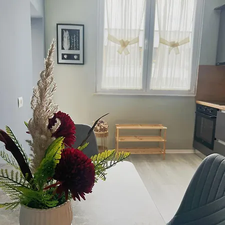 Joyful Appartamento Tirana