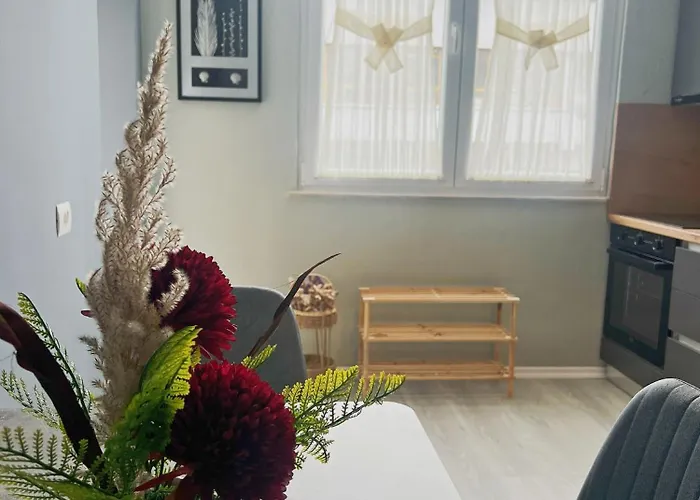 Joyful 公寓 地拉那